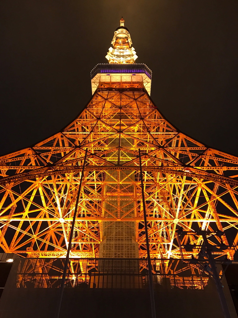 1080P, illuminated, no people, metal, night, travel, lighting equipment, tokyo, nature, city, outdoors, architecture, built structure, tourism, building exterior