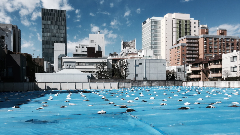 tree, no people, urban, 5 chome-7-11 minamiaoyama, bush, water, downtown, waterfront, swimming pool, financial district, 4K, rural, plant, outdoors, day