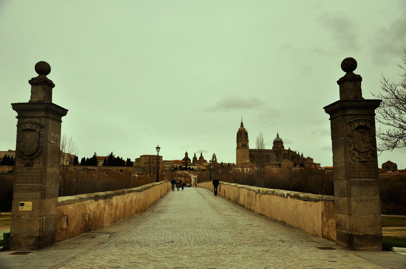ponte, incidental people, spain, outdoors, salamanca, espana, old, direction, sky, cidade, nature, ciudad, building, tower, puente, bridge, history, cloud - sky