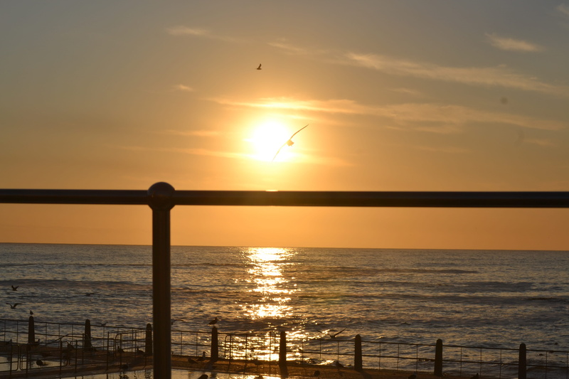 beauty in nature, cape town, sunset in camps bay, ocean life, scenics - nature, horizon, ocean view, silhouette, sun, sunset at sea point, sky, africa do sul