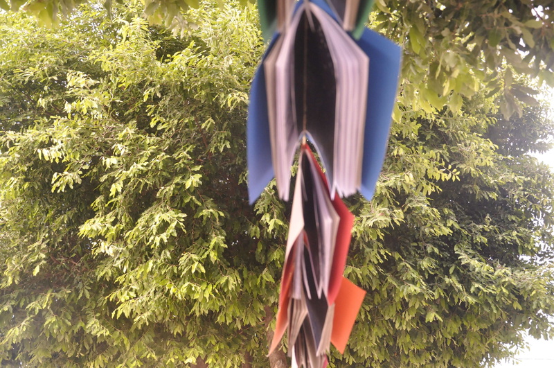 forest, rua, nature, hanging, casa, streat, tree, green color, livros, rio, brazil, plant part, plant, growth, low angle view, decoration, book, day, sunlight