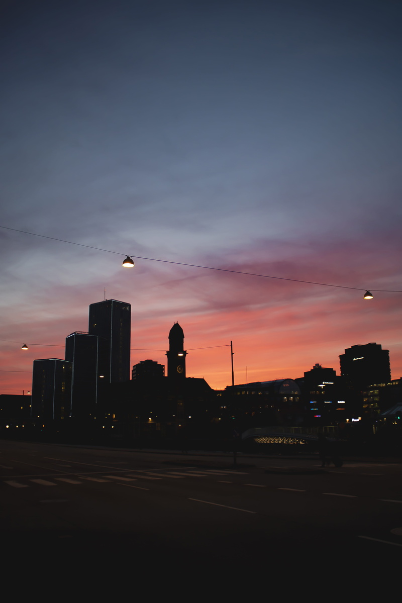 building exterior, road, built structure, building, 5K, flying, vertebrate, street, sky, cielo, office building exterior, animal themes, silhouette, cloud - sky
