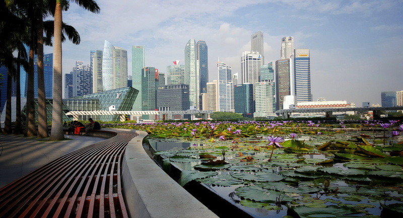 big city, outdoors, office building exterior, no people, lotus flower, cityscape, view, financial district, flower, megacity, Skyscraper, tower, water