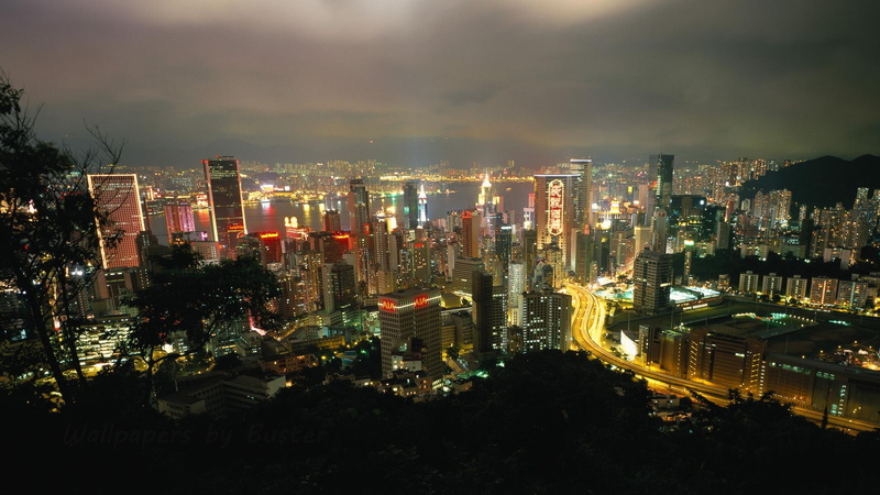 nice, buildings, high, city, animals, rise, night, photo, 1080P, view, megalopolis