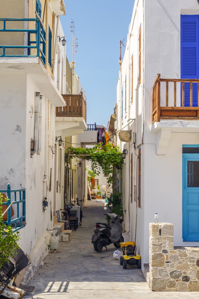 no people, domestic animals, day, alley, domestic, mammal, sunlight, street, house, building, building exterior, nature, pets, residential district, megalopolis