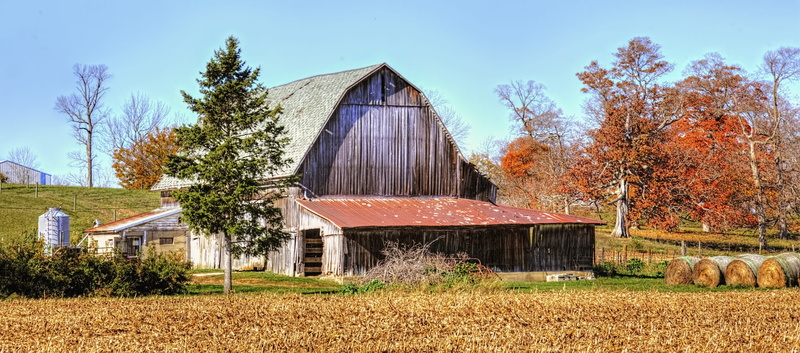 cloudy, structures, trees, urbana, home decor, champaign, barns, landscape, shed, bill sturgell, americana, tree, weeds, ohio, scenic, field, clouds, day