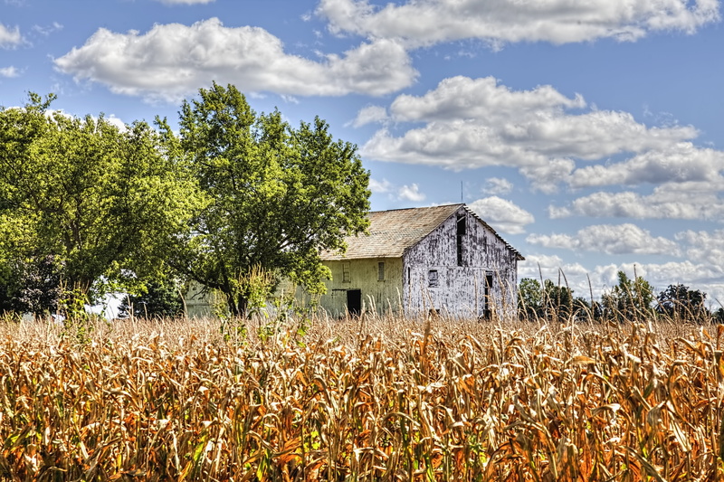 agriculture, tranquility, rustic, champaign, building, nature, architecture, farmhouse, barn, plant, ohio, rural scene, structures, photo, land, rural