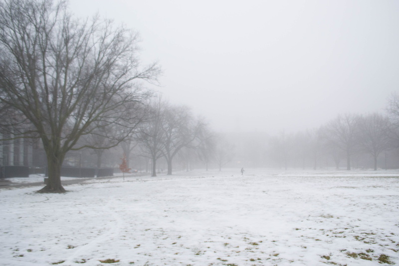 field, extreme weather, nature, cold temperature, tranquil scene, climate, environment, bare tree, champaign, scenics - nature, tranquility, outdoors, university of illinois at urbana-champaign