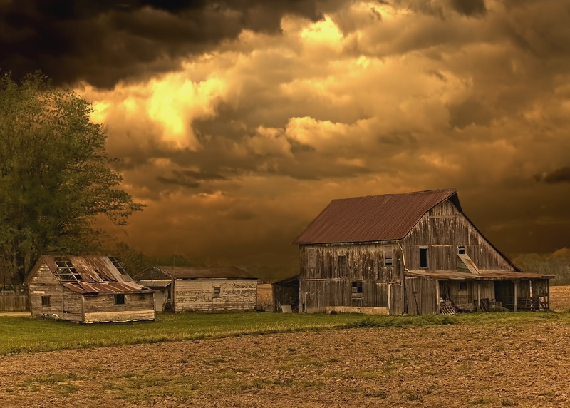 buildings, agricultural building, tree, farm, house, photo, sturgell, scenery, farmhouse, bill sturgell, rural, barn, scenic, county, land, historic, americana
