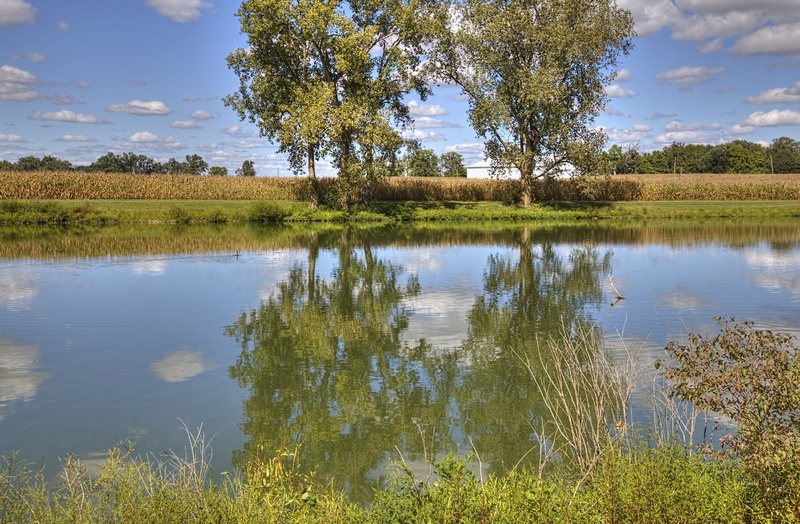 golden, tranquility, colorful, digital art, clouds, ohio, photograph, landscape, land, day, art print, blue skies, scenics - nature, no people, 5K, beauty in nature