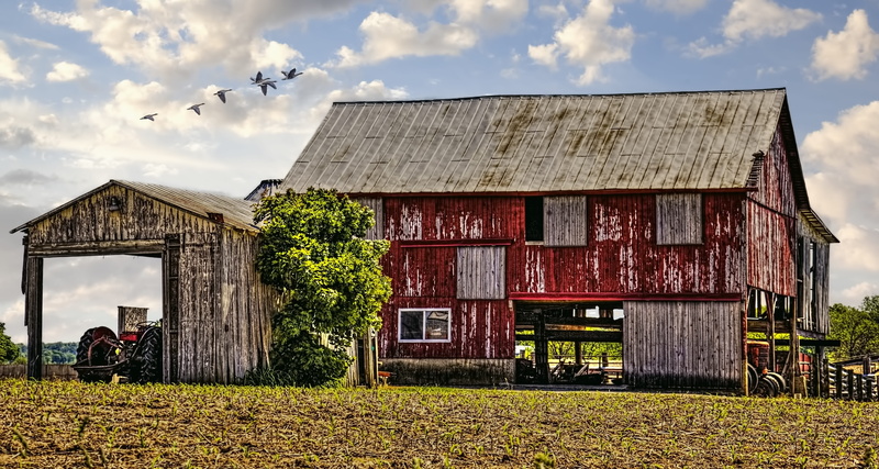 plant, sturgell, sky, buildings, tree, home decor, farms, digital art, grass, no people, scenery, building exterior, outdoors, landscape, country, photograph