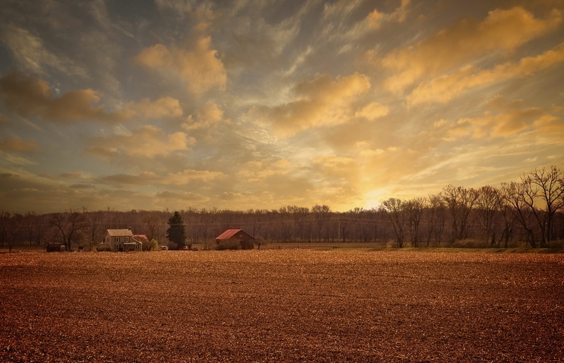 golden, farm land, cloudy sky, digital art, william sturgell, greenery, sky, trees, environment, agriculture, tree, cloud, rural scene, photograph, cloudy skies