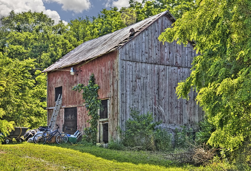 old, building, clouds, building exterior, land, plant, americana, built structure, outdoors, agriculture, scenery, county, deterioration, urbana, farmhouse