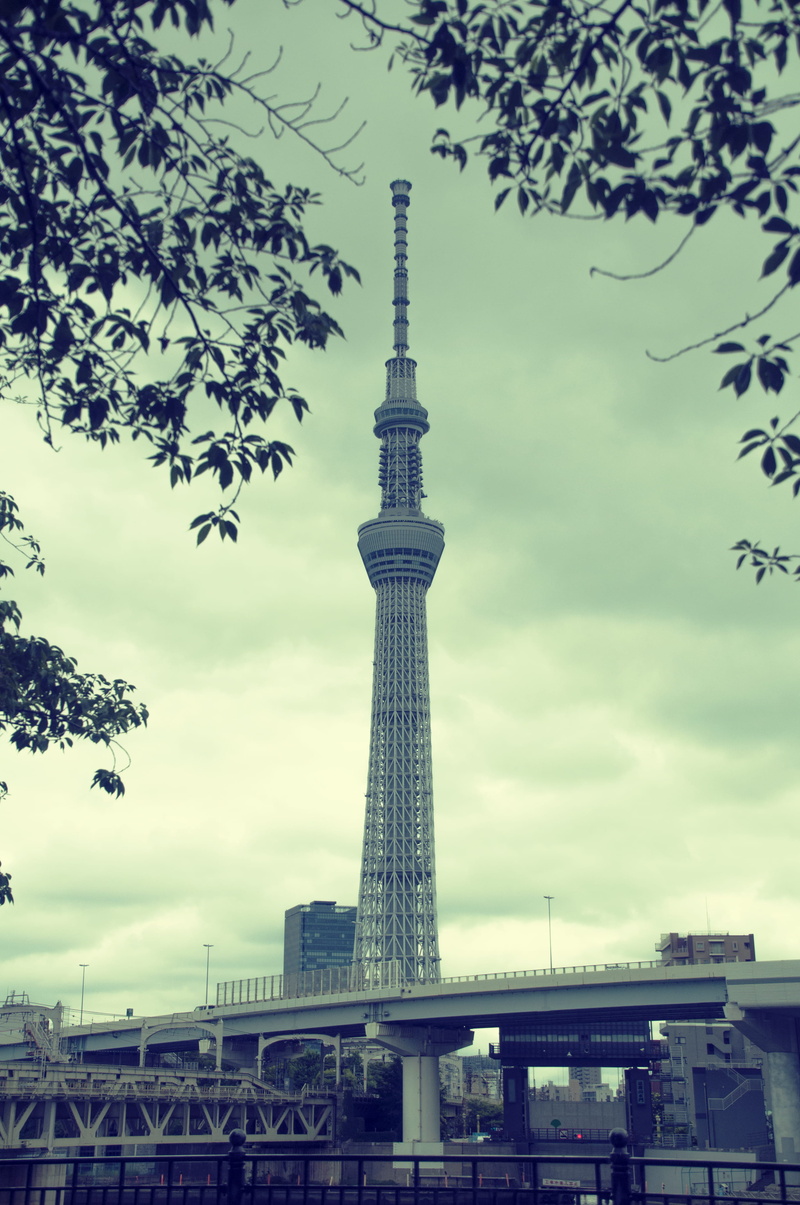 travel destinations, cloud - sky, taitō, skyscraper, tower, tree, nature, office building exterior, leaf, travel, japan, outdoors, spire, sumida park, built structure