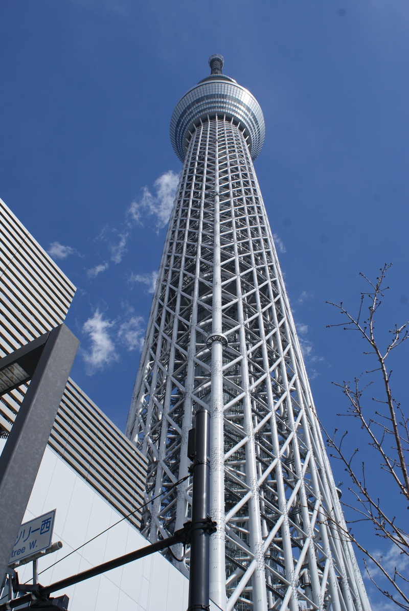 viewpoint, tourism, office building exterior, glass, metal, nature, outdoors, tokyo, building, construction, low angle view, architecture, travel destinations