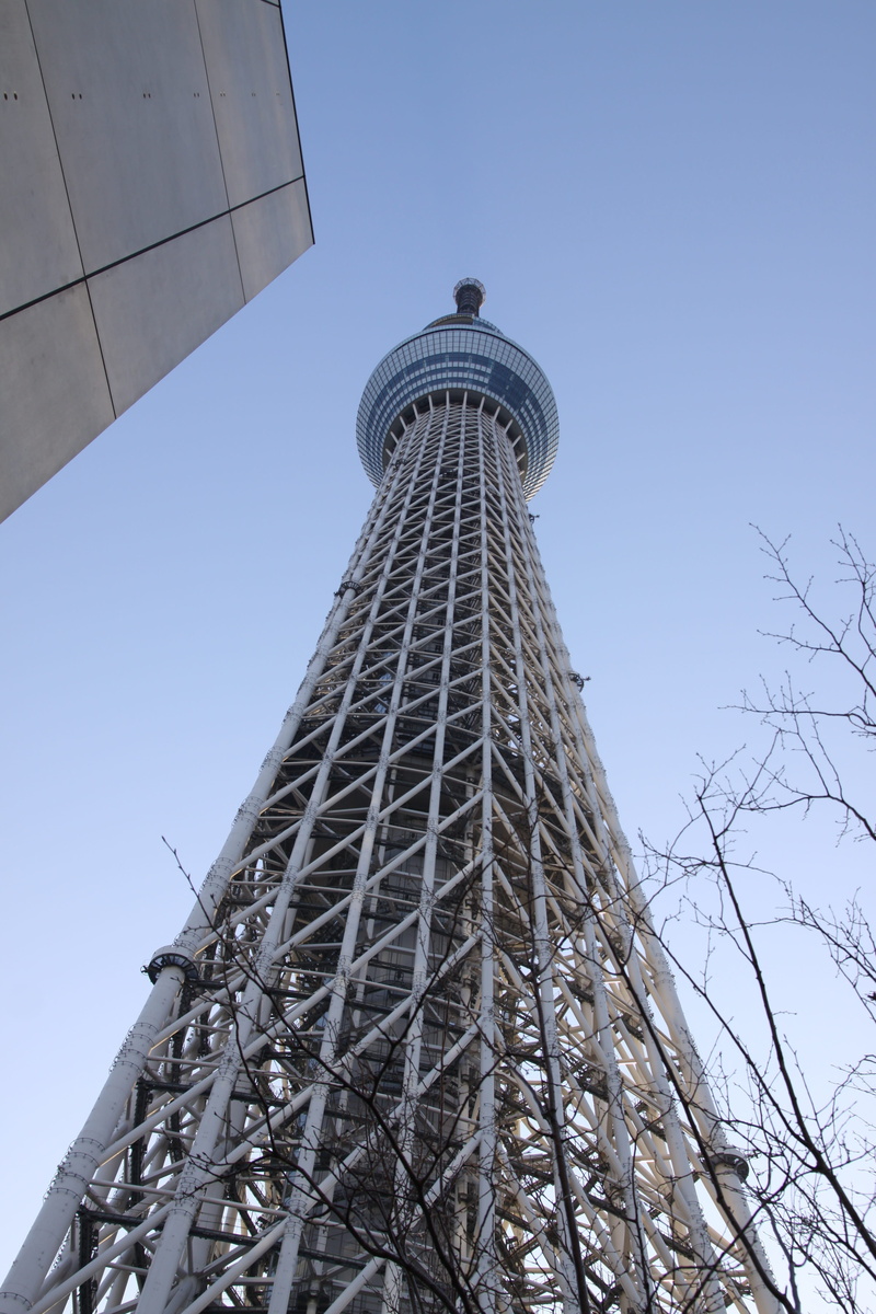 building, travel destinations, Japan, architecture, building exterior, sky, built structure, low angle view, clear sky, office building exterior, tokyo