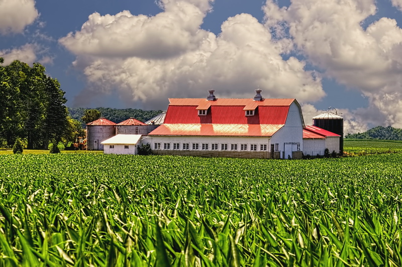 buildings, bill sturgell, cloud - sky, rural, photo, agriculture, nature, green color, rustic, clouds, plantation, 4K, barns, built structure, scenic