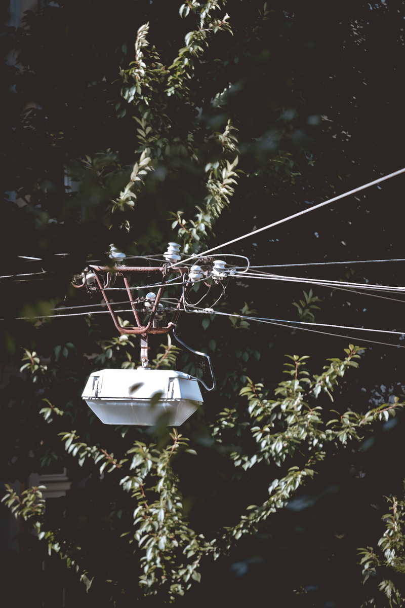 stadt, strom, lighting equipment, close-up, light, plant, day, street, urban, allee, detail, lampe, electrictiy, 5K, electricity, beleuchtung, branch