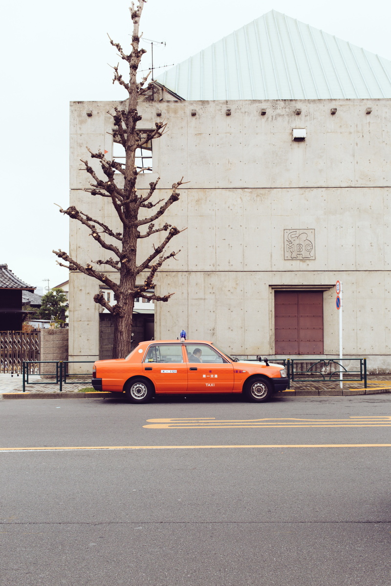 street, plant, city, road, transportation, car, concrete, building, sky, tree, architecture, building exterior, bare tree, day, 5K, mode of transportation
