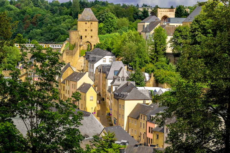 tree, landscape, nature, outdoors, luxembourg, growth, building, high angle view, grund, panorama, day, built structure, ville basse, city, water, 4K