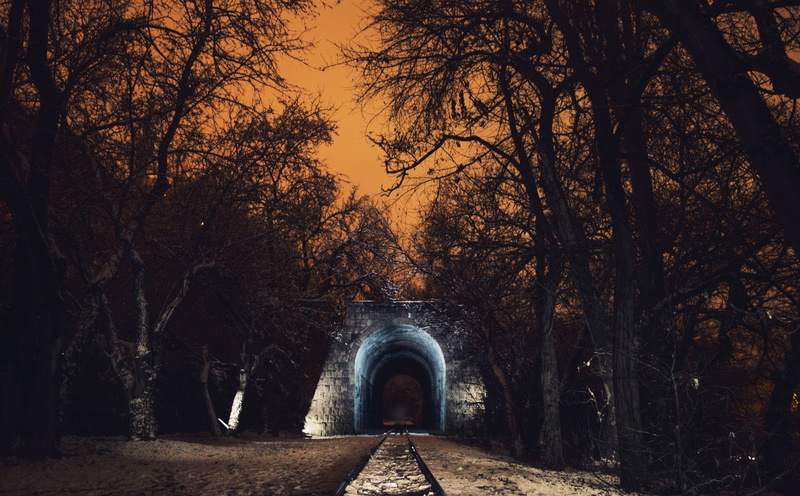 tree, park, rail, surface level, Winter, connection, trees, 5K, yerevan, first snow in erevan, at night, direction, nature, railway park, outdoors, forest