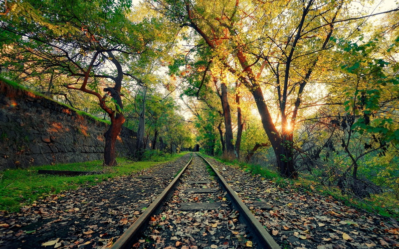 railroad track, plant, beauty in nature, autumn, nature, the way forward, 4K, change, track, sunshine, rail transportation, land, armenia, jungle, diminishing perspective