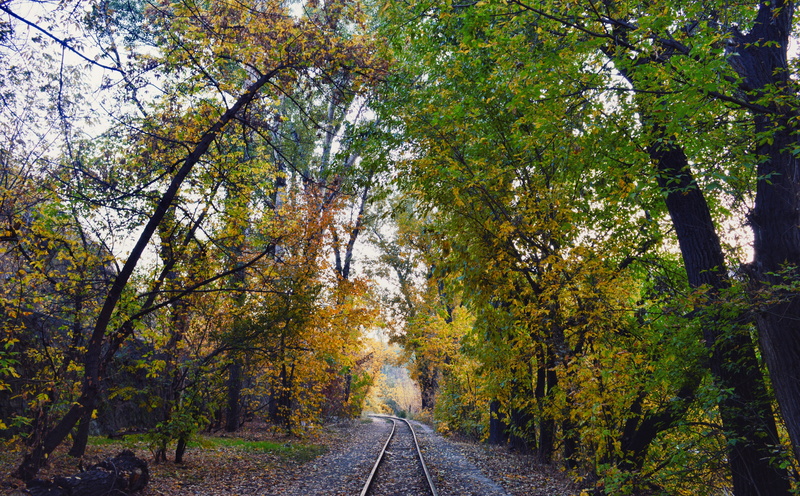 park, Seasons, railway park, the way forward, railway, scenics - nature, nature, direction, change, no people, armenia, vanishing point, treelined, land