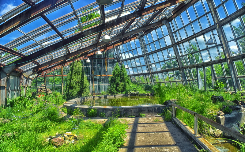 green, edgar varjapetyan photo, blue, built structure, botanical, botany, Vintage, indoors, leafed, land, yerevan, ceiling, growth, grass, garden, day