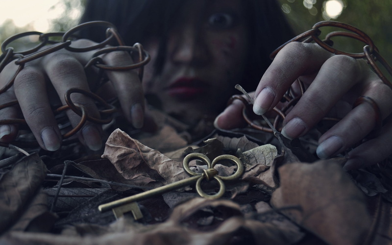 fantasy girl, 1080P, nature, finger, men, hands, human body part, close-up, women, hand, lifestyles, art and craft, craft, human hand, metal, keys, plant