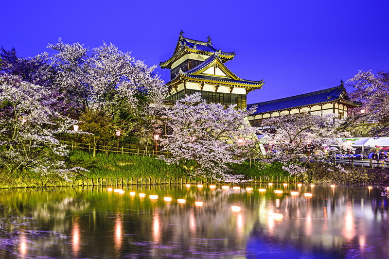 park - Man Made Space, ancient, Koriyama Castle, tree, nature, asia, history, cultures, built Structure, castle, building, purple, no people, architecture