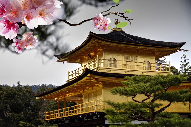 temple - Building, place of worship, asia, cherry tree, formal Garden, rock Garden, Sakura, tokyo Prefecture, pagoda, zen-like, wood - Material, flower