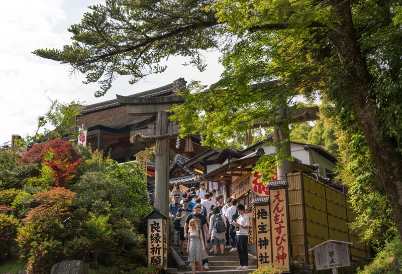 architecture, tourism, temple, men, travel, summer, tree, Kyoto, adult, nature, ancient, leisure activity, building exterior, group of people, growth, building