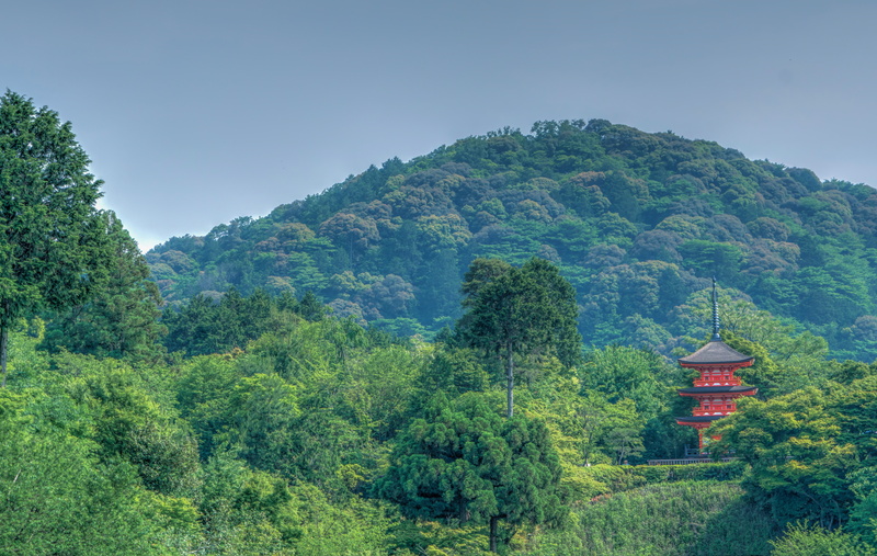 building, travel, landmark, kiyomizu temple, outdoors, ancient, plant, green color, attraction, land, historic, culture, sky, scenery, scenic, no people