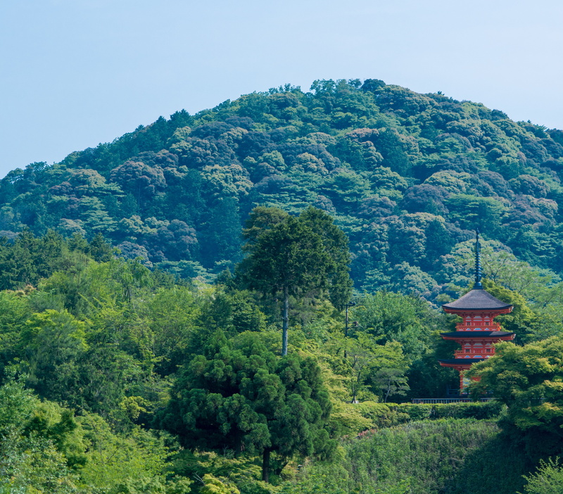 tranquility, historic, scenic, history, no people, non-urban scene, outdoors, landmark, travel, attraction, mountains, plant, famous, belief, kiyomizu temple