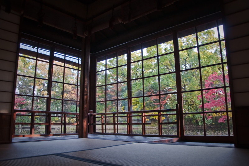 tree, glass - material, building, multi colored, 4K, plant, indoors, transparent, window frame, glass, nature, growth, okayama prefecture, built structure