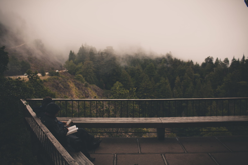 outdoors, women, fog, scenics - nature, foggy, forest, mountain, break, sky, wood - material, plant, relaxing, observation deck, sitting, bench, lake, day