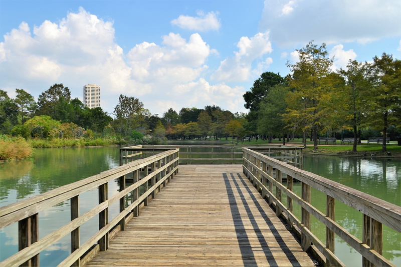 sky, tree, sunny, peaceful, relaxing, boardwalk, landmark, tranquil, travel, observation, architecture, 2K, office building, plank, trees, railing, leisure