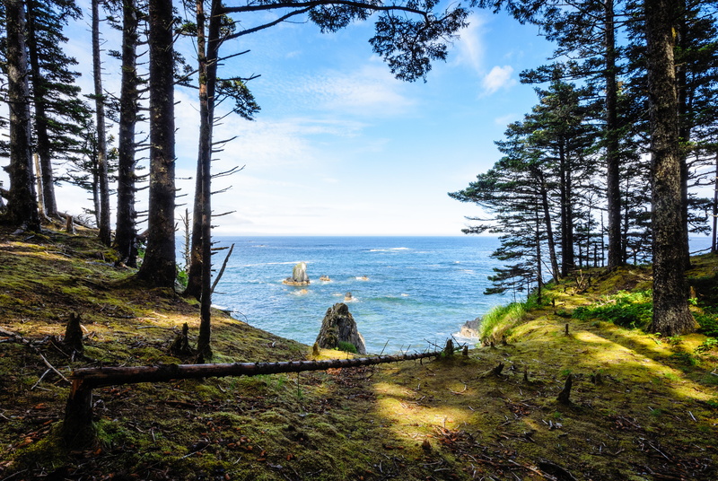 landscape, scenics, Kodiak  Alaska, photo, f/3.5, outdoors, Nikkor, Fort Abercrombie, coastline, DSC, AK, VR, nature, forest, tree, Nikon 1 J2, sea, 4K