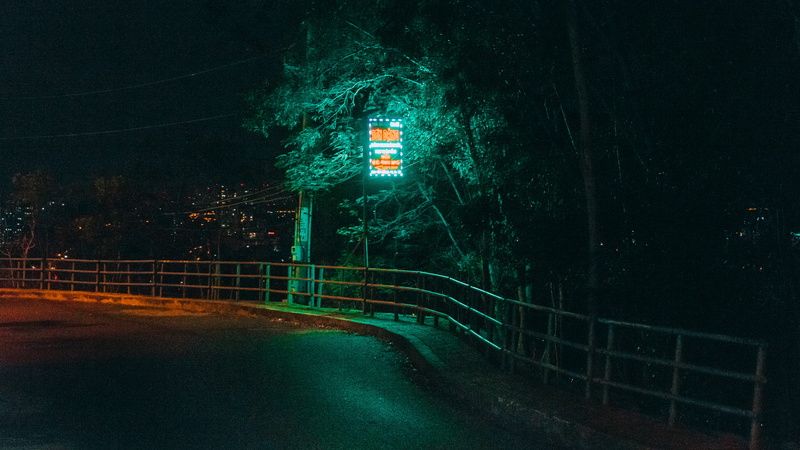 urban, ride, plant, nature, outdoors, vietnam, illusion, green color, neonlight, illuminated, built structure, bike, lighting equipment, night, city, vũng tàu