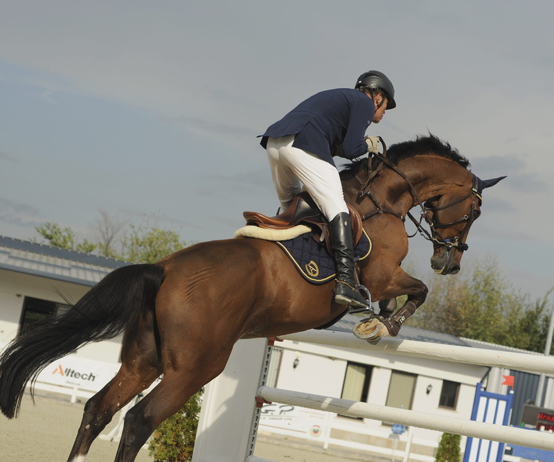 lifestyles, mammal, western pleasure, hunt seat, pets, animal wildlife, human action, endurance riding, ride, western riding, livestock, outdoors, riding