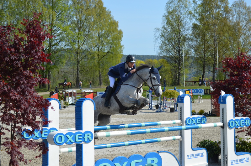 nature, park, jump, competition, park - man made space, equine, outdoors, showjump, representation, horses, showjumping, tree, event, real people, showjumper
