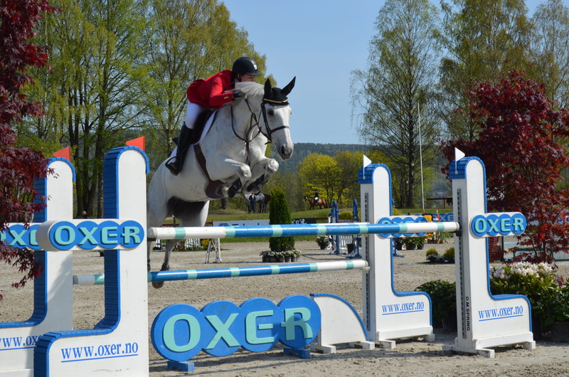 clear sky, equine, competing, show, sculpture, architecture, blue, text, art and craft, equestrian, day, outdoors, tree, communication, sign, obstacle