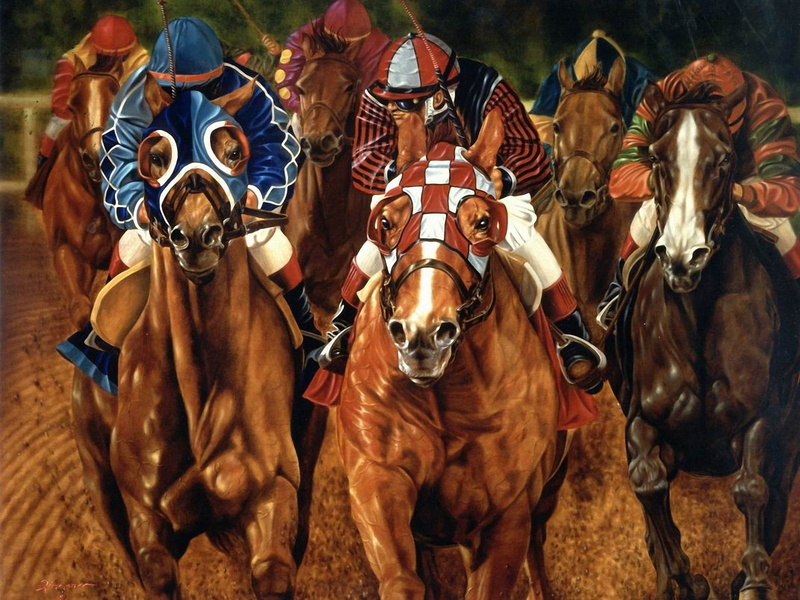 hd, horse, sports, 720P, racing