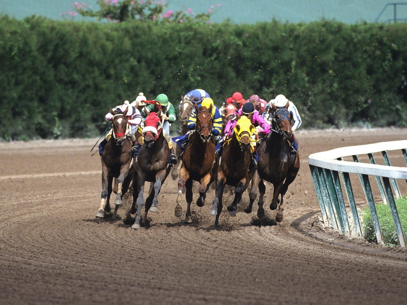 sports, 720P, horse, hd, racing