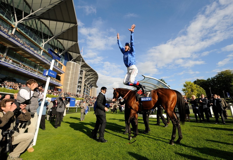 hd, horses, horse, Horse Racing, sports, arms raised, racing, frankie dettori, 720P, art, italian, animals, raised, jumping, dettori, frankie, arms