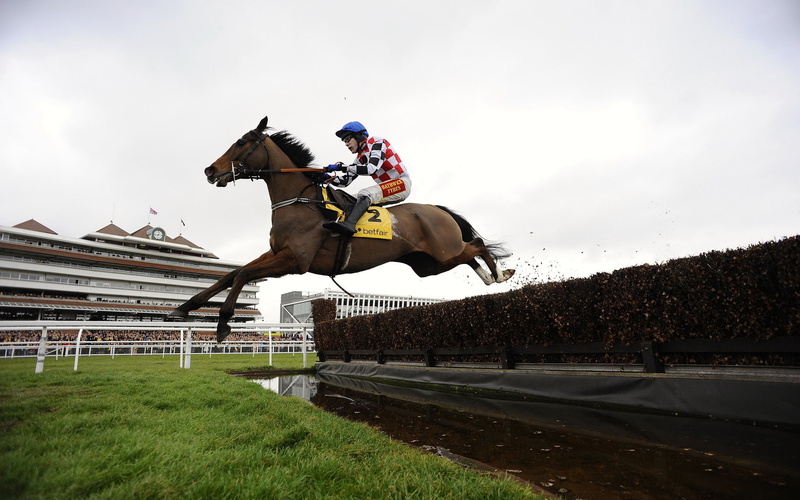sports, 2K, hd, racing, horse
