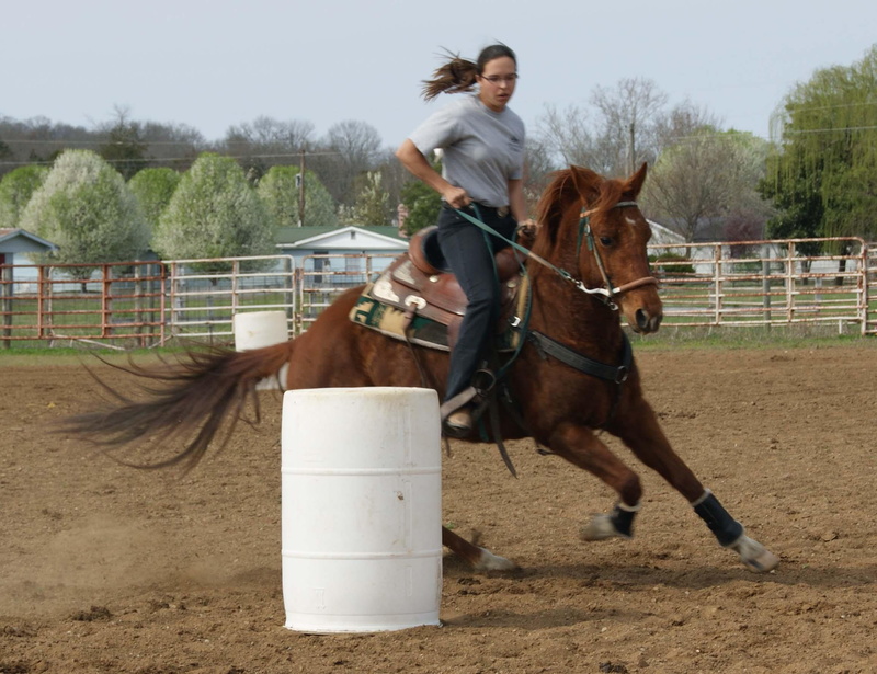 barrel racing, barrel, horse, 1080P, animals, practice, racing, fast