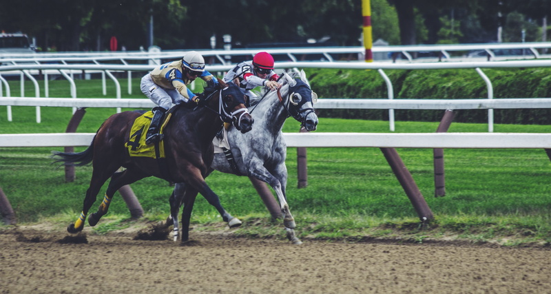 winning, thoroughbred Horse, race, real people, sports Track, sports helmet, field, grass, happy Valley, domestic, animal, men, sports Venue, competitive Sport