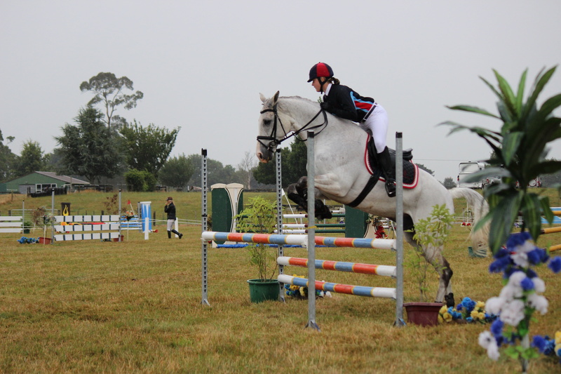 horseback, 5K, horse Racing, competition, thoroughbred Horse, tree, mammal, group of animals, jockey, rider, riding, sport, sports Track, equestrian, horse jumping