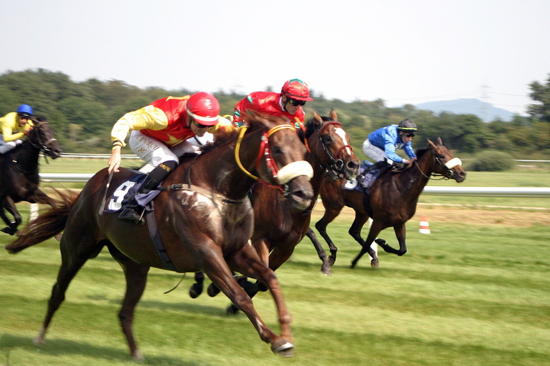 great week, the spring meeting, racehorse, outdoors, group of animals, horse racing, gallop, group of people, baden baden, competition, 1080P, domestic animals